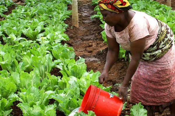 Agriwoman